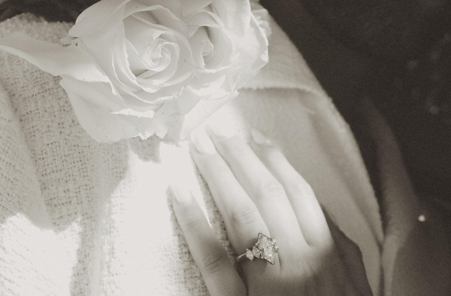 The Wedding Website of Ally Barkhaus and Derrick Moore