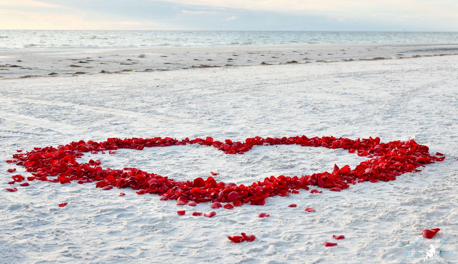 The Wedding Website of Taylor Reeves-Carson and David Brouillette