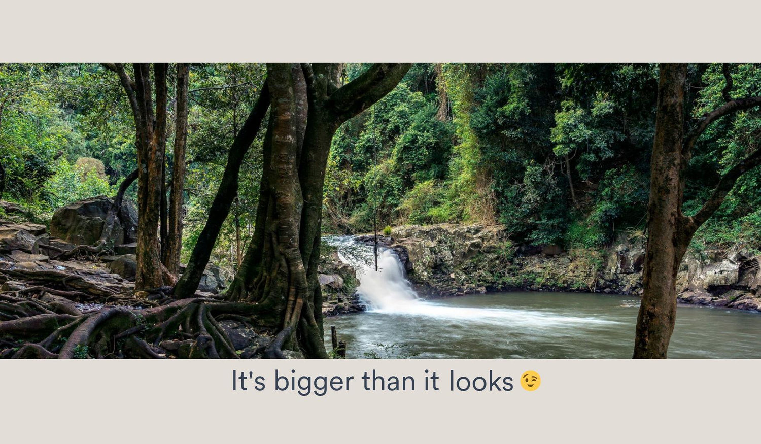 Footer image