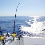 TO DO: Blue Sky Cabo