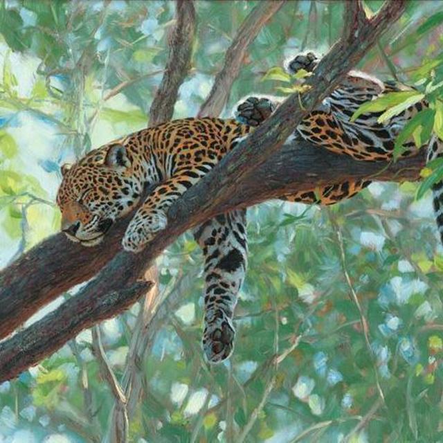 John Banovich - Comfort in the Trees Painting