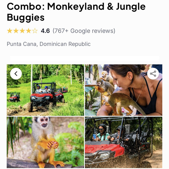 Monkeyland & jungle buggies excursion
