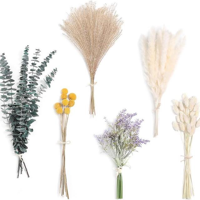 Serra Flora Natural Dried Pampas Eucalyptus Rabbit Tail Grass,(Pack of 66pcs) with 6 Kinds of DIY Bridal Artificial Bouquets Home Decor Wedding Floral Arrangement Table Centerpieces