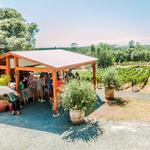 PaZa Estate Winery