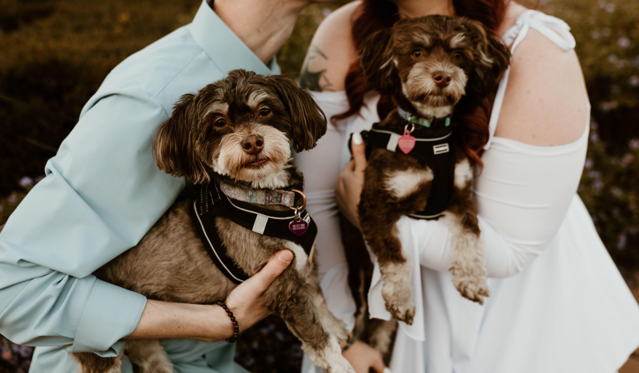 Hero Slideshow Image 5