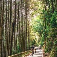 Kyoto Bamboo Forest bike tour for 2