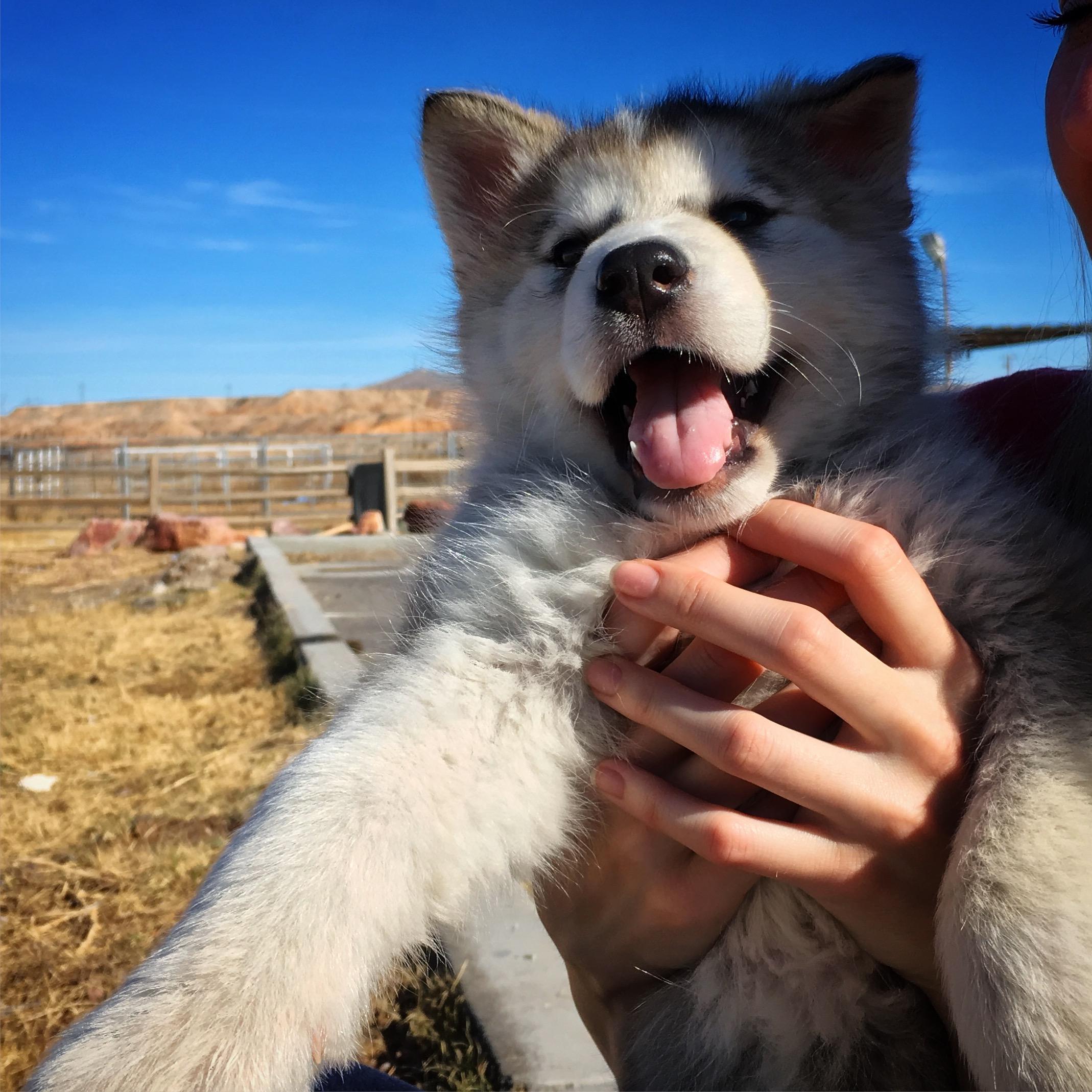 Getting our baby ♥️♥️♥️
