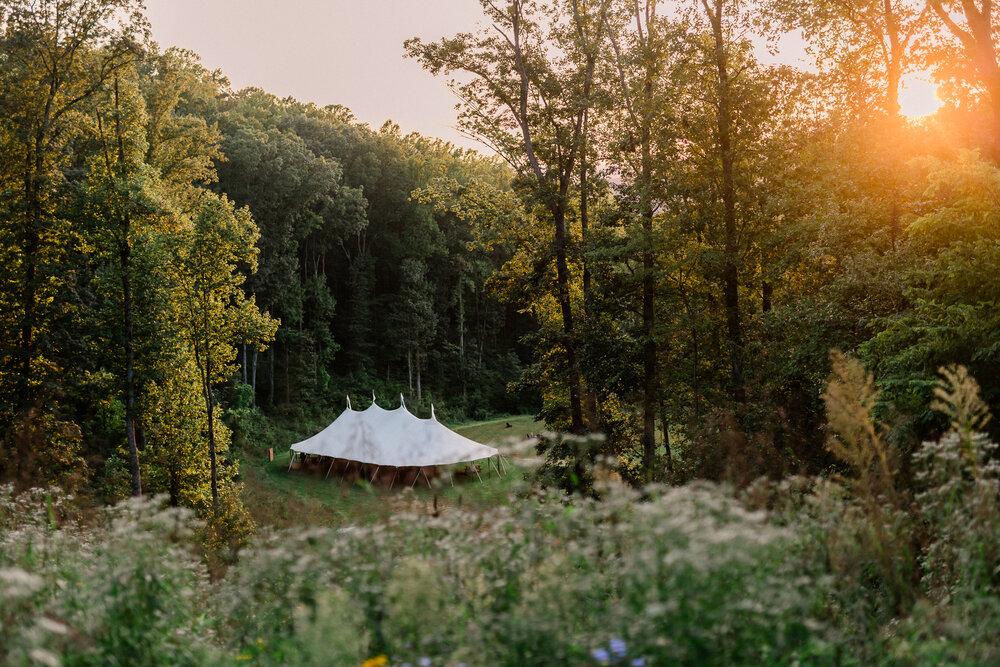 The Wedding Website of Charlotte Townsend and Dylan Craig