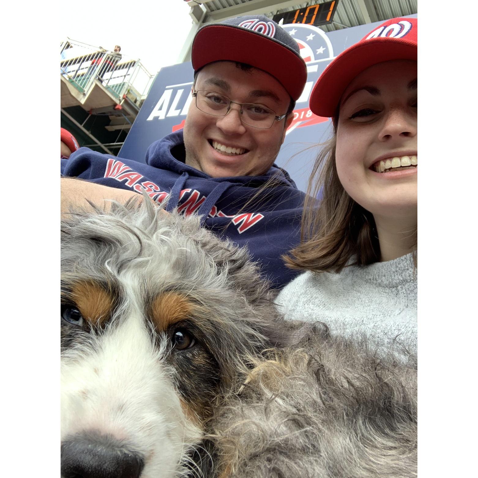 Pups in the park (2019)
