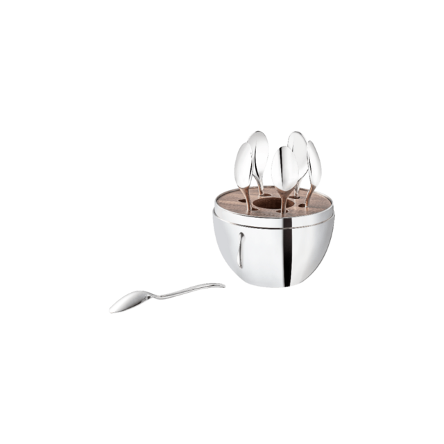 6-Piece Silver Espresso Spoon Set