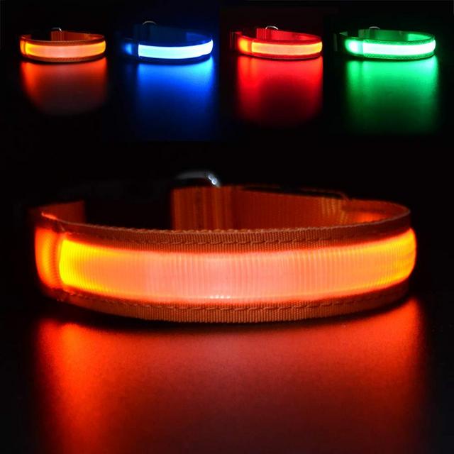 MASBRILL LED Dog Collar,Night Glow Light Up Dog Collar DC Rechargeable Waterproof Durable Glowing Dog Collar 3 Colors (L( 0.98*23.62"), Orange)