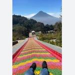 Antigua boreal eco-park slide