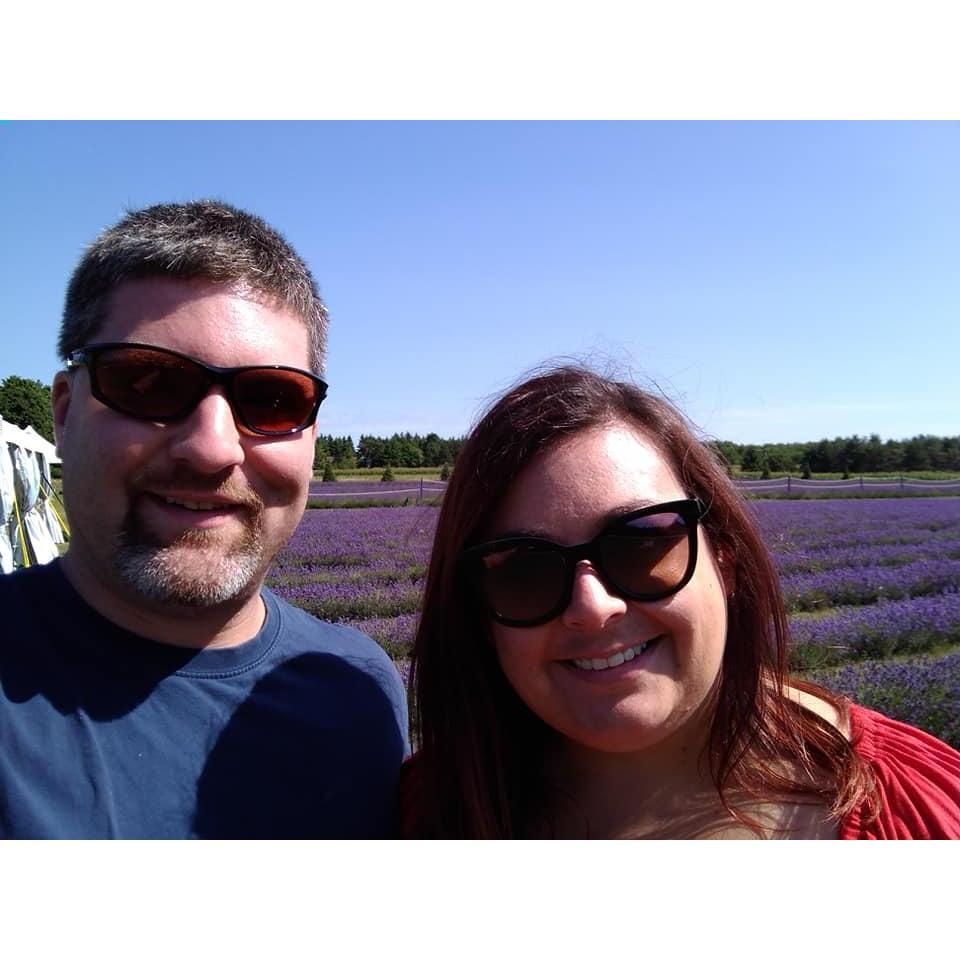 Lavender Farm on Washington Island