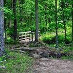 Deep Cut Trail