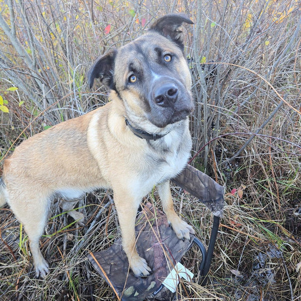 Cooper's Home Fund