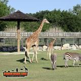 Frank Buck Zoo