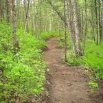 Crevasse-Moraine Trailhead