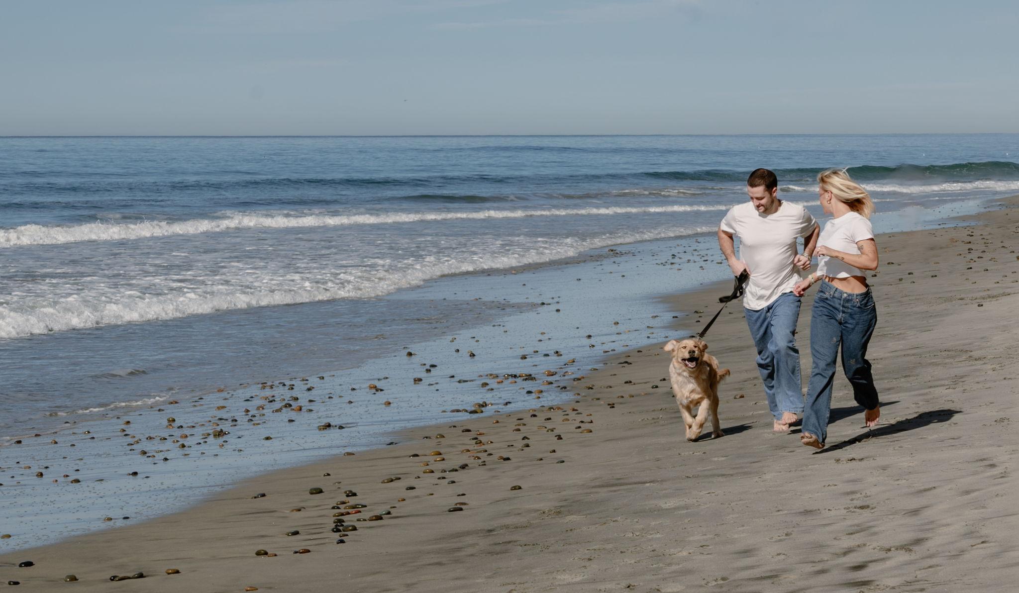 Hero Slideshow Image 3