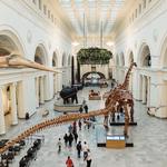 Field Museum