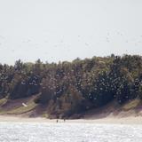 Whitefish Dunes State Park
