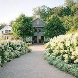 Pippin Hill Farm & Vineyards