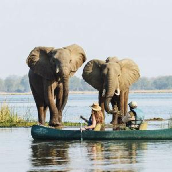 Okavango Mokoro Safari