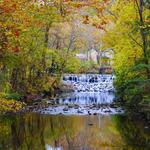 Paige's Favorite Retreat: Sharon Woods Park