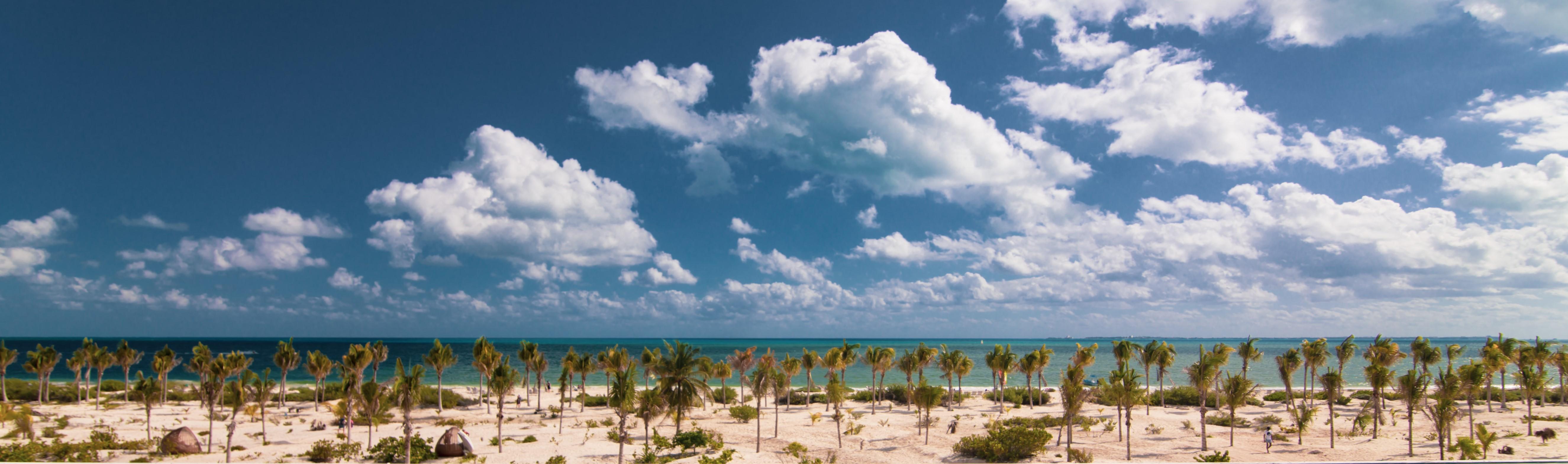 The Wedding Website of David Courtney and Destini Baldwin