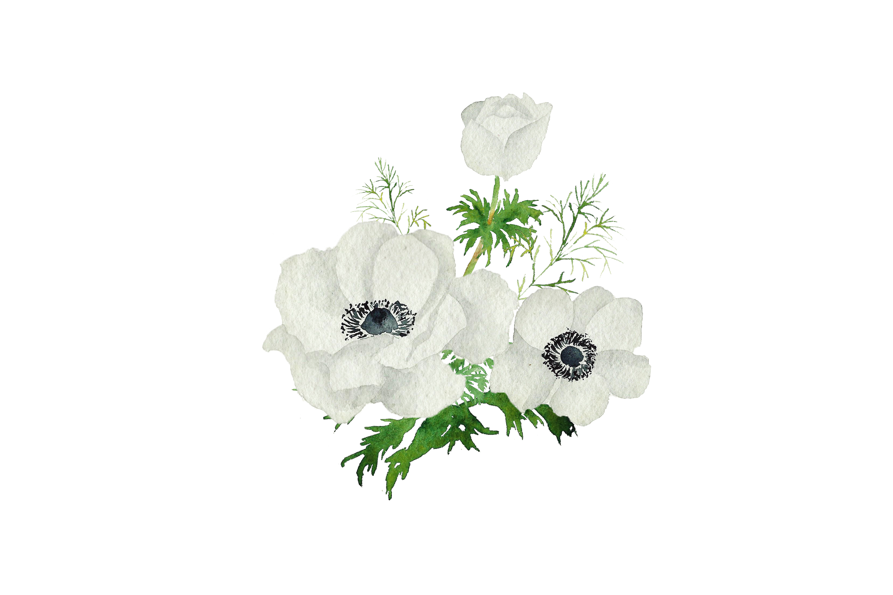 The Wedding Website of Mary Kate Marsden and Brian McAloon