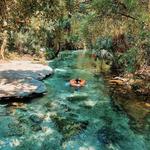 Kelly Park - Rock Springs