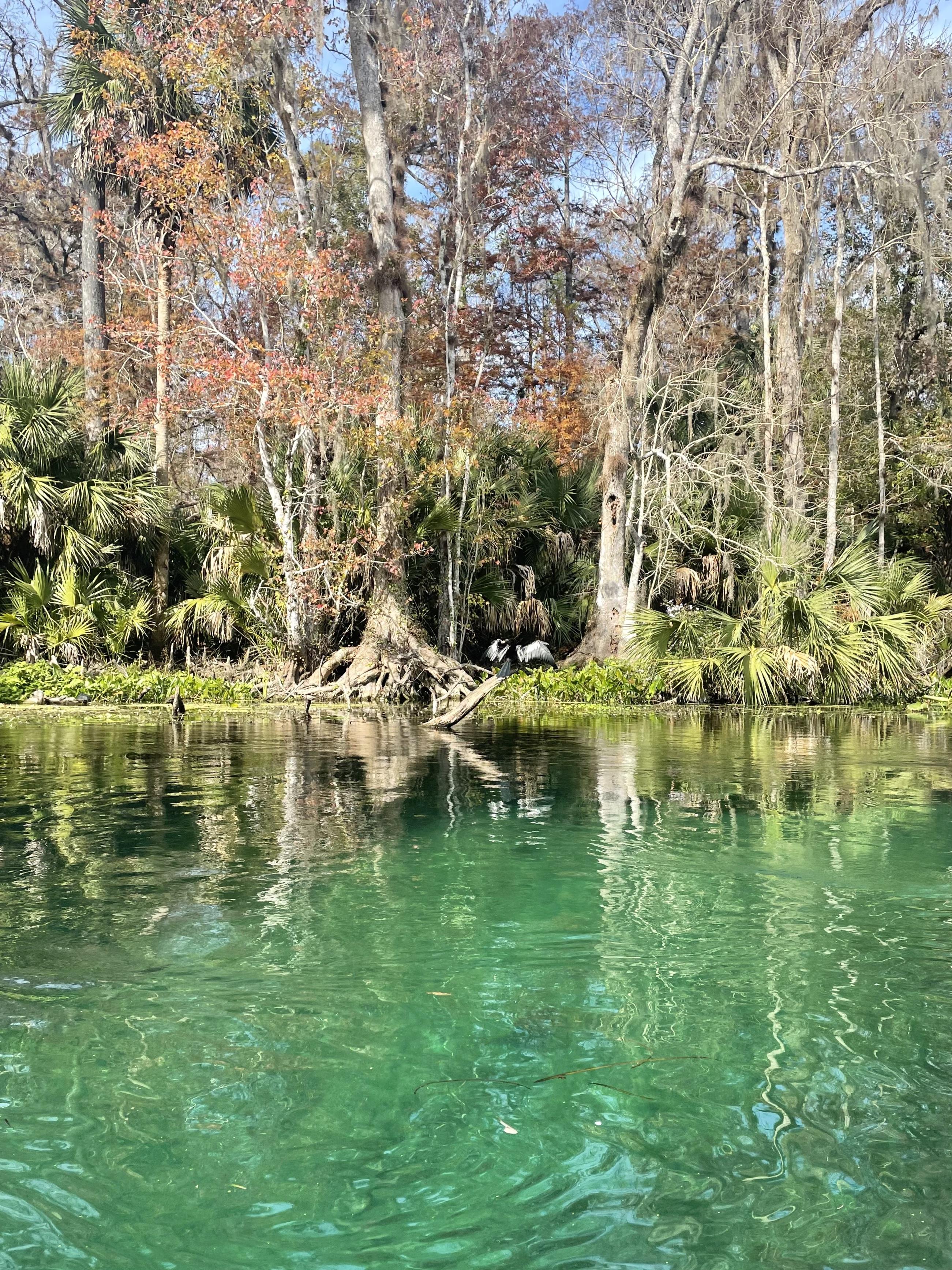 The Wedding Website of Sara Morrell and Brendan Holden