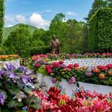 The North Carolina Arboretum