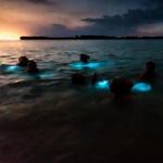 Luminous Lagoon Glistening Waters Cruise