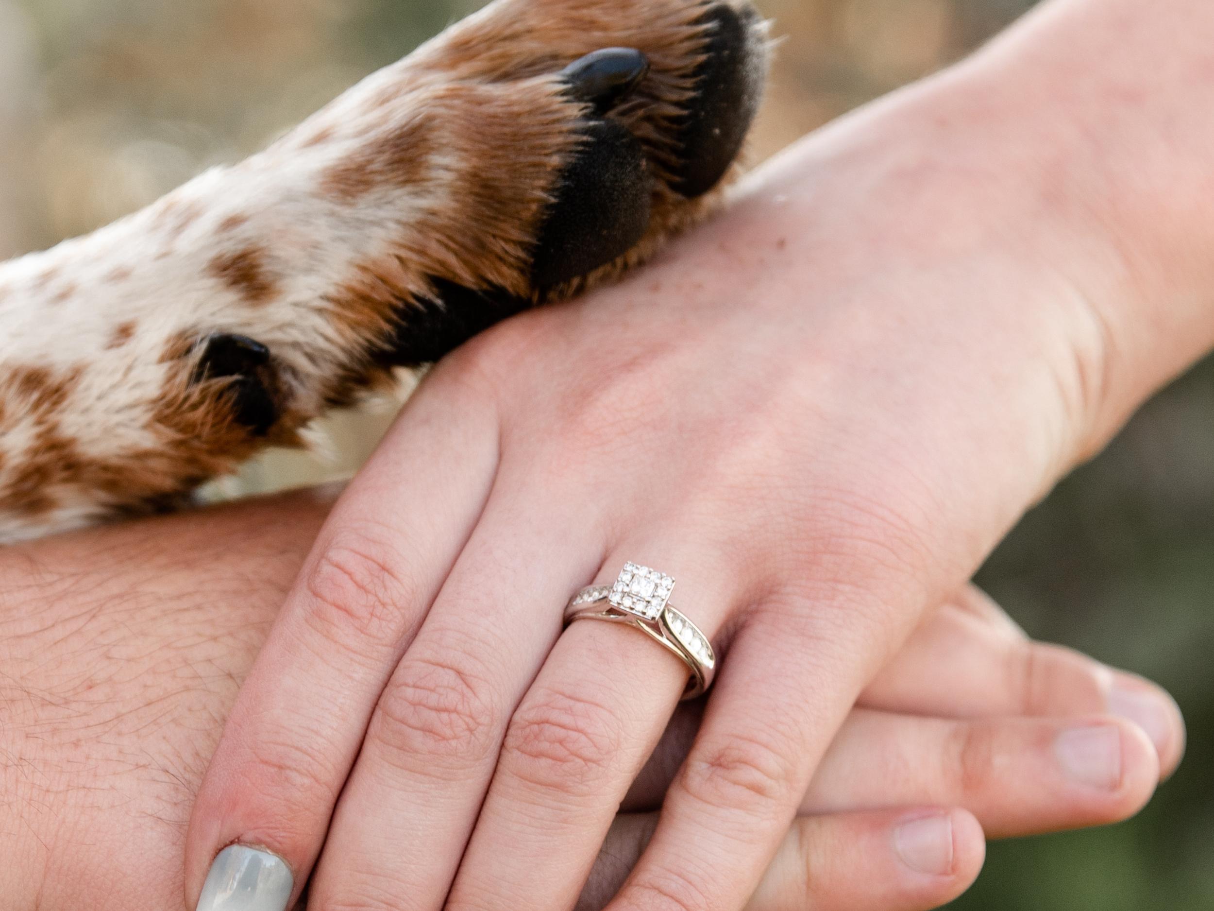 The Wedding Website of Tristan Hansen and Sylvia Waite