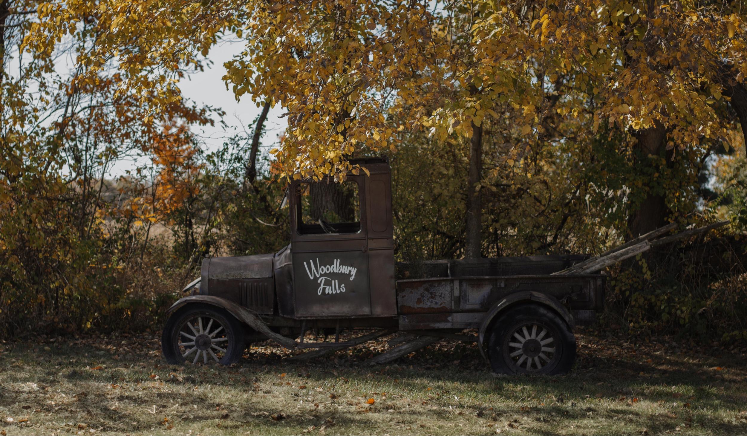 The Wedding Website of Zilkia Morales and Matthew Echevarria