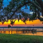 Skull Creek Dockside