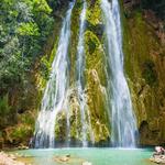 El limón Samaná