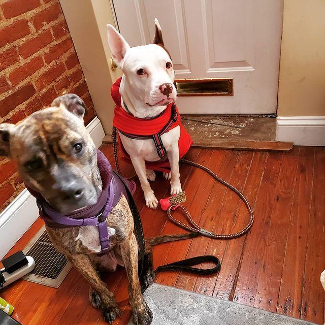 Our babies