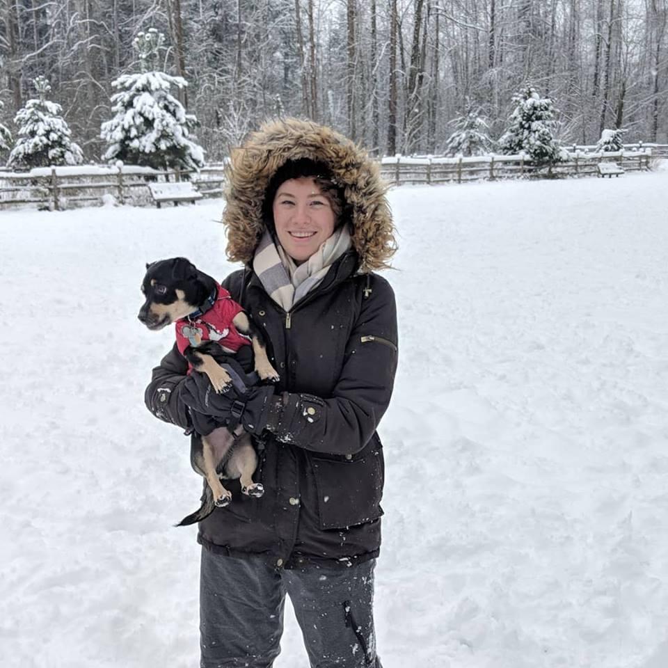 Snow Day with the dogs!