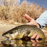 Lost River Outfitters