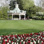 Fellows Riverside Gardens