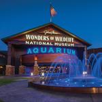 Wonders Of Wildlife National Museum & Aquarium