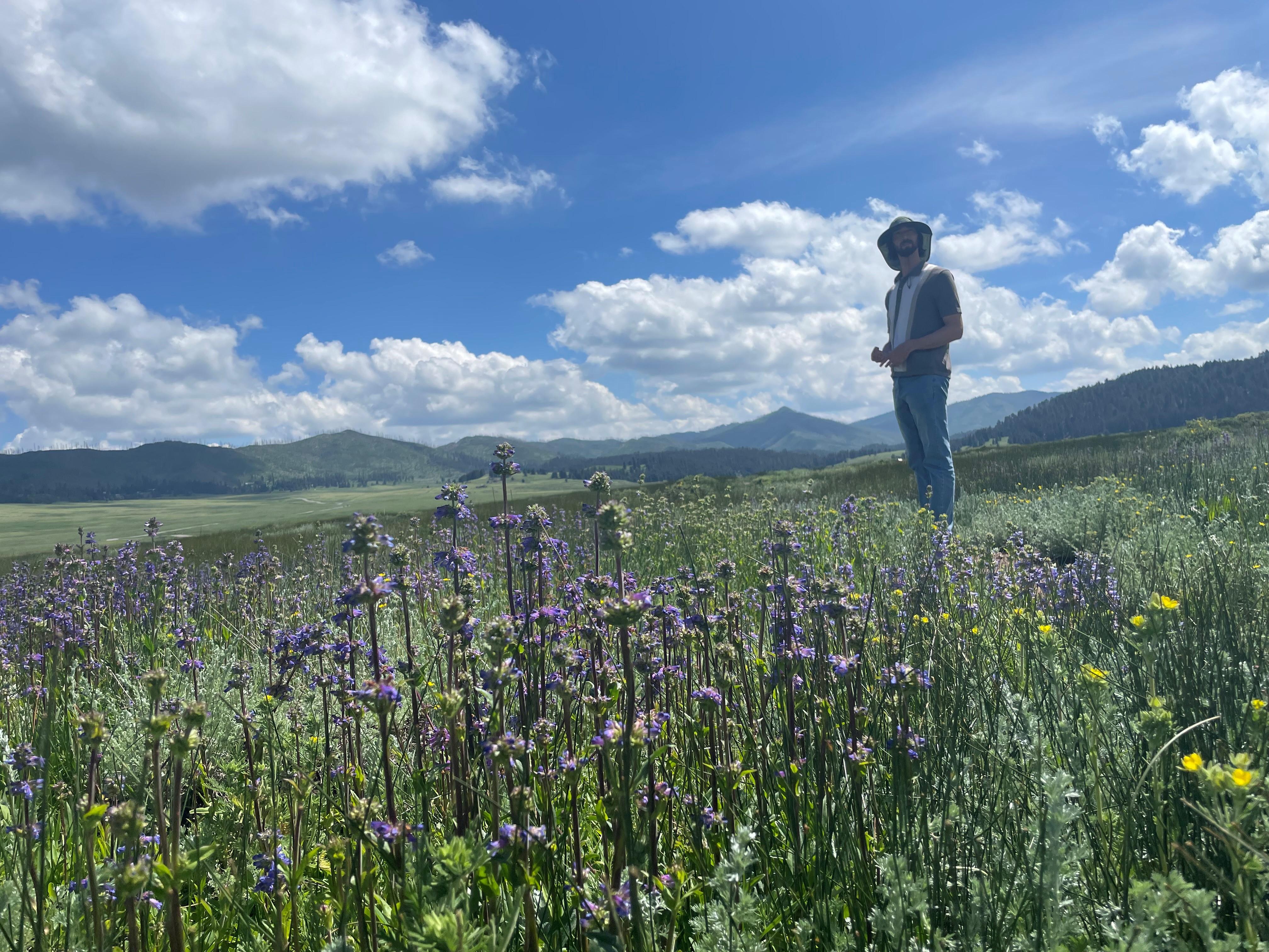 89bba728-8141-4dad-8089-01becb82ff45