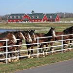 Warm Springs Ranch