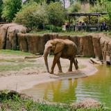 Birmingham Zoo