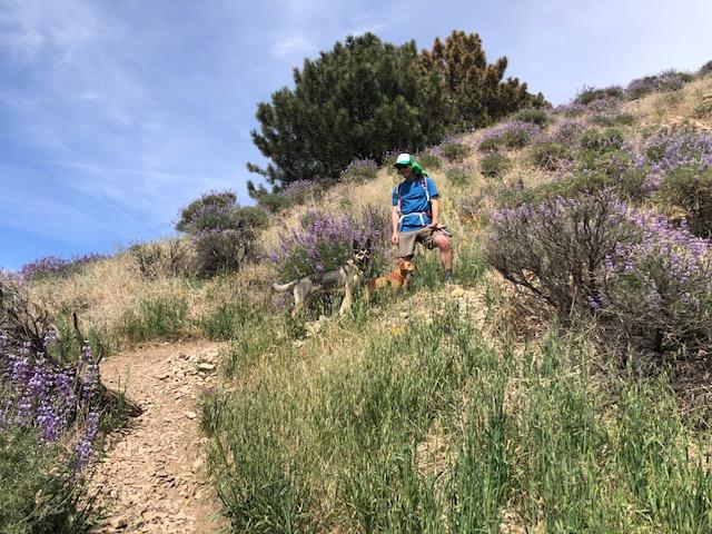 The Wedding Website of Christine Hackman and Nic Walton