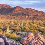 Saguaro National Park West