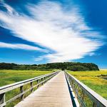 Cape Cod Rail Trail