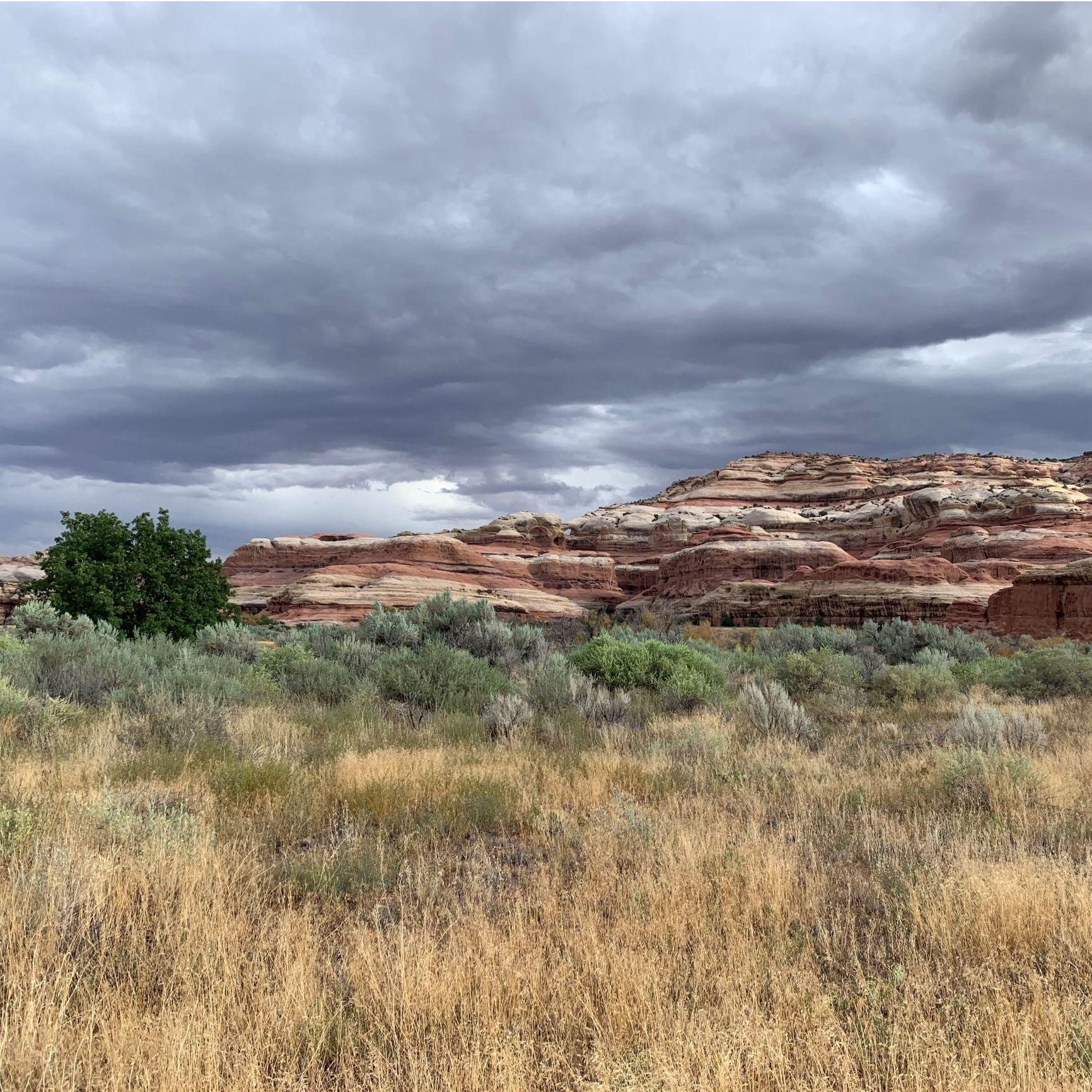 Unexpectedly cloudy mornings are rustic HDR.