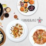 Umigame Japanese Kitchen